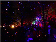 ST1776 : Looking back from the "Laserlight" installation, Christmas at Bute Park, Cardiff by Ruth Sharville