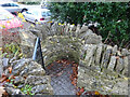 SO8500 : Stone Kissing Gate, Halfway House by Mr Red