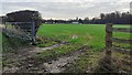 Field gateway on SE side of minor road in Barrock Park