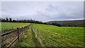 Public footpath near Phoenice Cottages