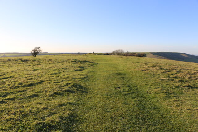 Causeway crossing a ring of the causewayed enclosure, Coombe Hill