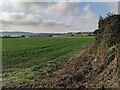 SW5936 : Fields and public footpath near Tregotha Farm by David Medcalf