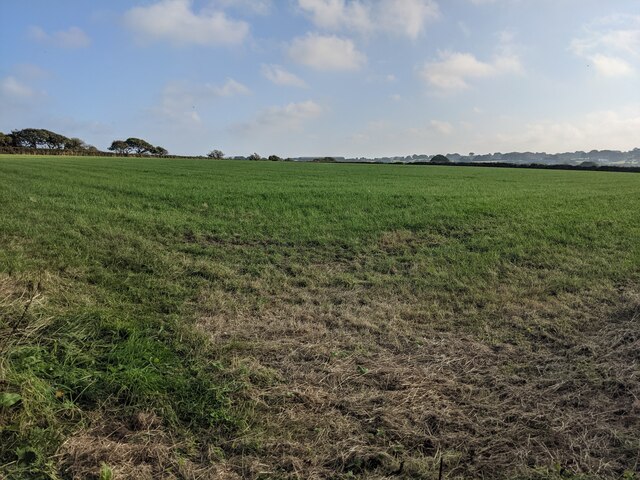 A field near Tregotha Farm