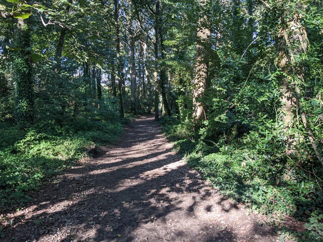 A woodland path to Godolphin House