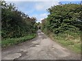 SW6034 : A byway near Leedstown by David Medcalf
