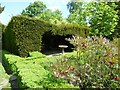 Bird bath by a Yew hedge