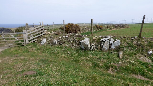 Field wall at Ynys Barry