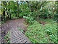 Lower Fell Greave, footbridge