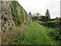 Footpath at Tidenham