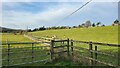 Sheep farming