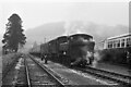 Buckfastleigh Station ? 1970