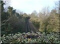 View from Brenley Bridge, Boughton under Blean