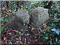 Stone Stile, Draycott