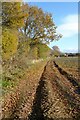 Field headland footpath