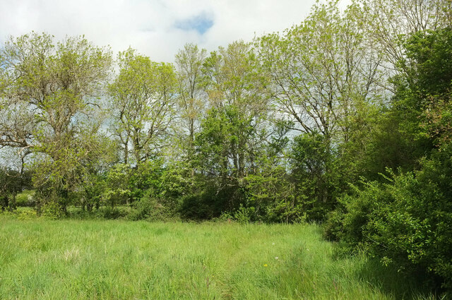 Corner of field by Treverrow © Derek Harper cc-by-sa/2.0 :: Geograph ...