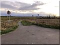 Cycle path towards the A5