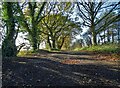 Cross Lane in the parish of Elkesley