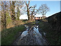 Footpath approaching Pitchford village