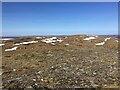 NH6804 : Barren summit plateau of A' Chailleach by Steven Brown