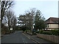 Looking along Maori Road towards Cranley Road