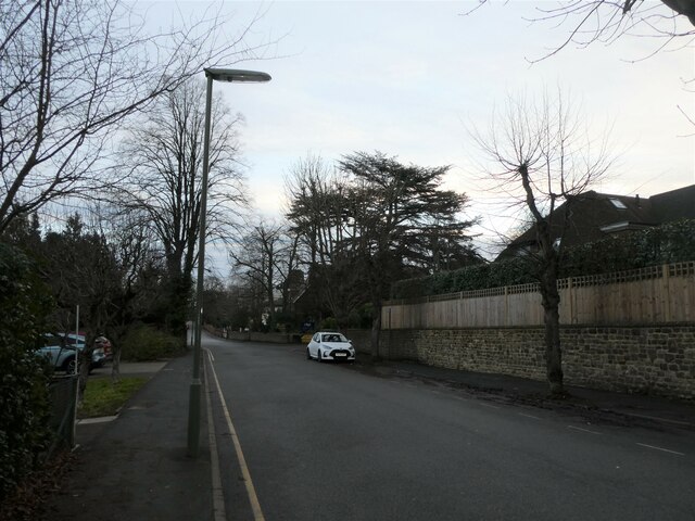 Lamppost in Cranley Road