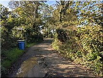 SW6035 : The bridleway to Trenerth by David Medcalf