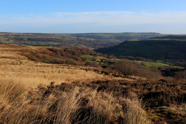 Old House Wood Calderdale Area Information Map Walks And More