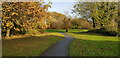 Green Space off Chelveston Crescent