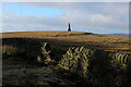 SD9824 : View towards Stoodley Pike Monument from Dick's Lane by Chris Heaton