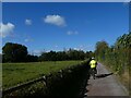 On the Strawberry Line, near Sandford