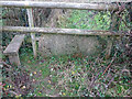 SO7401 : Stone Stile, Cam by Mr Red