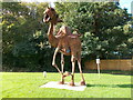 The dromedary of Histon