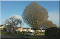 Quantocks Road, Livermead