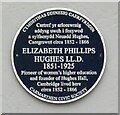 Elizabeth Phillips Hughes (1851-1925)