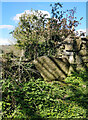 Stone Stile, Cranham/Sheepscombe