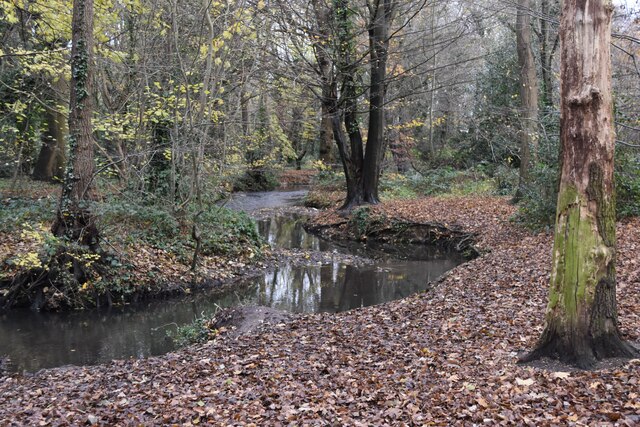 River Shuttle In Bexley Woods © David Martin Geograph Britain And