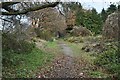 Footpath in Braeburn Park