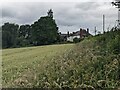 Field by the A480 road (Yazor)