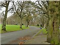 Eastern carriage drive, Lister Park