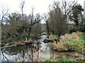 Burn flowing into the River Derwent