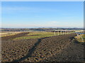 All weather training track, Middleham Low Moor