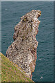 NT9169 : Cleaver Rock by Ian Capper
