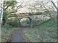 Bridge over the Derwent Path