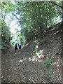 Sunken lane near Coombe