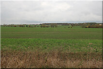 TL3657 : Fields by Hardwick Road by Hugh Venables
