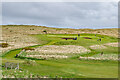NU0446 : Goswick Golf Club by Ian Capper