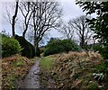 Footpath in Church Stretton