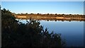 Flooded sandpit at Shewalton