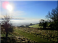 Footpath Towards Compstall