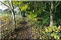 Path along the south of Gobions Wood